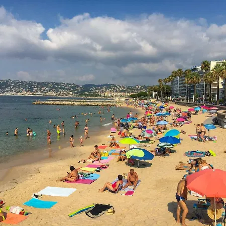 Grand Studio Les Pins A 2 Pas Des Plages De Sable Appartement